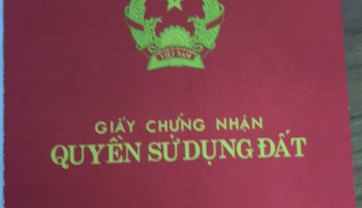 Chính Chủ Bán 5335 M2 Đất Xã Tân Nhựt, Huyện Bình Chánh