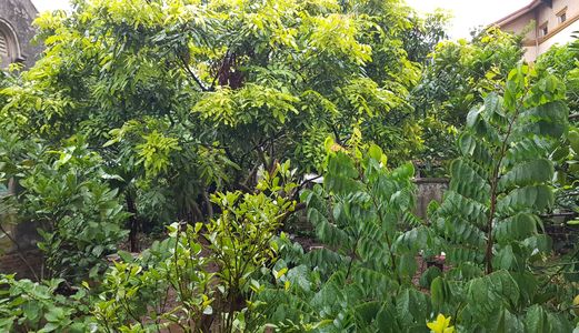 Chỉ Với 3.2 Tỷ Có Ngay Mảnh Đất 65M2, Phố Ngọc Thụy, Ô Tô Đỗ Cửa