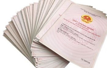 Đất Củ Chi Chưa Bao Giờ Hết "HOT", Bạn Có Tin Không?