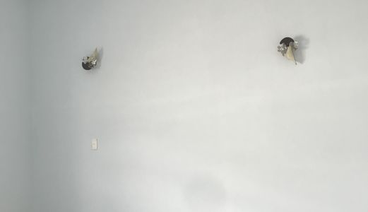 Cho Thuê Nhà Nguyên Căn Hẻm 41 Chuyên Dùng 9 . Dt 4X20M. 1Tr,1L,4Pn,2Wc . Giá 8 Tr . Tháng .