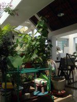 Cần Cho Thuê Lại Phòng Trọ Trung Tâm Quận 5, Giá 3,2 Triệu/tháng. Lh: 0919391699