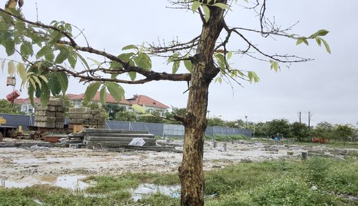 Đặt Chỗ Sản Phẩm Mới Ruby Shophouse Tại Center Park Huế