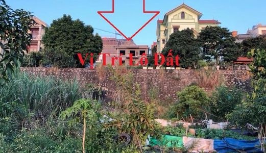 Bán 2 Lô Đất Ngõ 14 Nguyễn Văn Cừ (Đồi Văn Nghệ), P. Hồng Hải, Hạ Long!