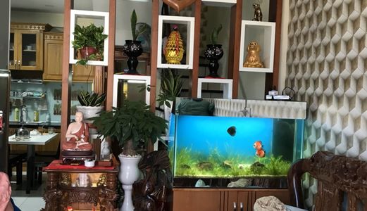 Bán Nhà HXH 487 Huỳnh Tấn Phát, Diện Tích 5X10M, 1 Trệt, 2 Lầu, Sân Thượng. Giá 6.5 Tỷ!