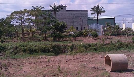 Đất Bình Dương 560Tr/nền, 1200M2.