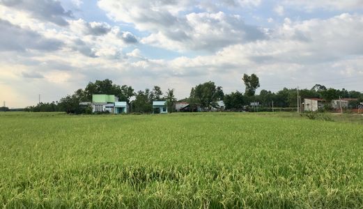 Đất Giá Rẻ Nhơn Trạch Được Lên Thổ Cư 914M2 Đường Ô tô Sổ Hồng Riêng