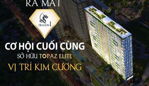 Chính Chủ Bán Gấp Căn Hộ 85M2 Lầu 9 Chung Cư Topaz Elite Q.8. Block Đẹp Nhất Dự Án