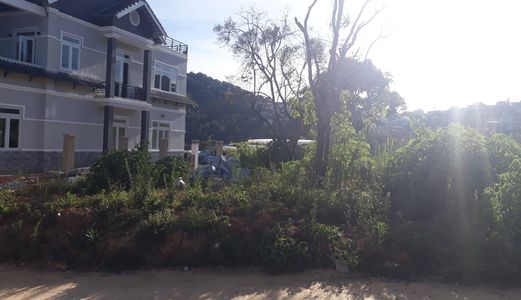 Bán Đất Đường Hoàng Hoa Thám, Phường 10, Đà Lạt - 298,8M2 - 3,9 Tỷ Đ3386