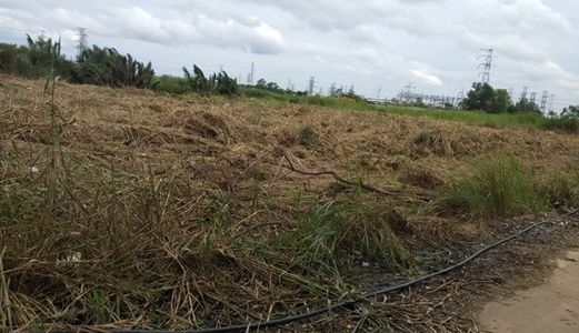 Bán Đất Diện Tích Lớn 1400 - 2400M2 Đầu Tư Sinh Lời Phước Kiển, Nhà Bè Giá Chỉ 5.5 Triệu/m2