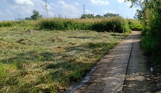 Bán Đất Diện Tích Lớn 1400 - 2400M2 Đầu Tư Sinh Lời Phước Kiển, Nhà Bè Giá Chỉ 5.5 Triệu/m2