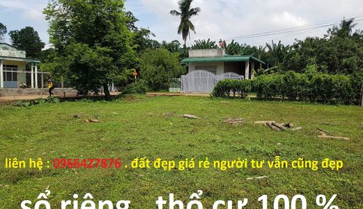 Bán Đất Thổ Cư . Sổ Riêng Hưng Lộc Cách Ql1A 450M Giá 420Tr