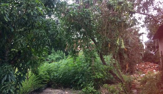 Cần Bán Lô Đất Rộng Hơn 9000M2 Tại Suối Tân Diên Khánh Nha Trang. 