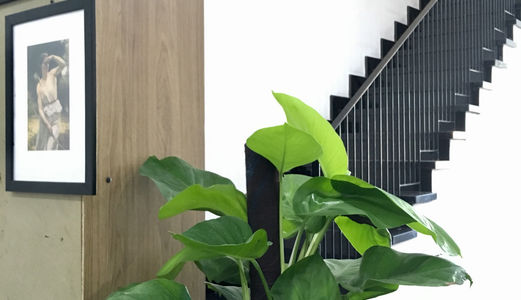 Cần Bán Nhà 3 Tầng Đường Ngô Quyền