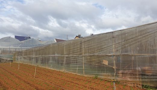 Bán Đất Đường Vạn Thành, Phường 5, Đà Lạt - 344,12M2 - 4,5 Tỷ Đ3399