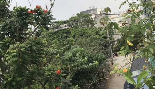 Nhà Hẻm Lê Đình Cẩn, Tân Tạo, Bình Tân