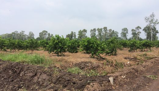 Lô Đất Cuối Năm Giá Cực Rẻ Đáng Để Đầu Tư