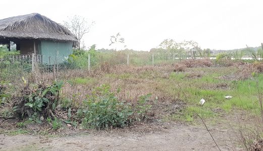 Chính Chủ, 430M2 Đất Ở Thương Mại - Dịch Vụ. 2 Mặt Tiền. Gần Sen Việt - Vingroup. Giá 5,5 Triệu/m2