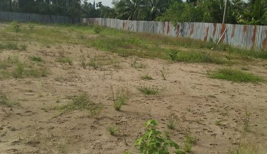 Lý Do Bạn Nên Đầu Tư Vào Dự Án Potential Của Nhà Đầt Lâm Nghĩa