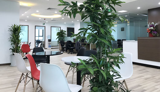 Cho Thuê Văn Phòng Khu Quan Hoa, Cầu Giấy Gần Hoàng Quốc Việt, Đào Tấn Giá Rẻ 5 Triệu - 22 Triệu/tháng