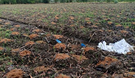 Bán Đất Vườn Xã Thạnh Lợi, Bến Lức, Khu Vực Dân Cư Đông Đúc, Điện Nước Đầy Đủ.