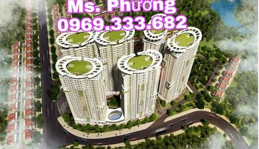 Bán Và Cho Thuê Căn Hộ Chung Cư Tecco Complex Thái Nguyên
