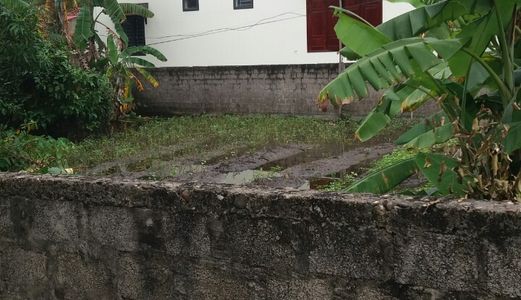 Đất Đức Ninh Đồng 2 Mặt Tiền Đường Ngô Đức Kế. Xã Đức Ninh, Tp Đồng Hới, Quảng Bình.