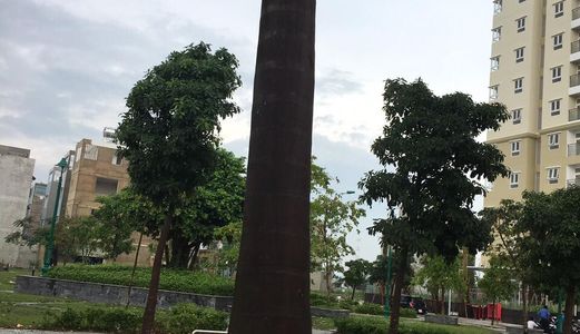 Bán Căn Hộ  Parkland Của Hiệp Thành City