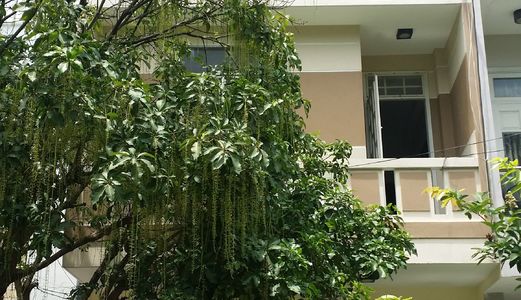 Bán Nhà 3 Tầng Khu Dân Cư Số 5 Nguyễn Tri Phương, Đường Nguyễn Dữ, Lh 0935761026