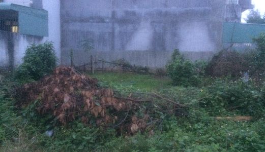 Bán Gấp Giá Rẻ Xoay Tiền Vốn Tết 