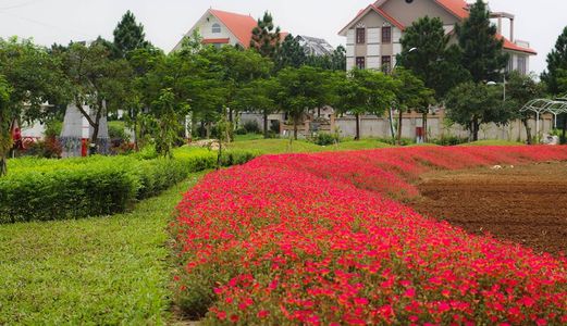 Bán Biệt Thự Đáng Sống Bậc Nhất Hà Nội, Chỉ Từ 5 Tỷ - 200M2, Khu The Phoenix Garden