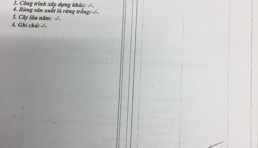 Dãy Nhà Trọ 24 Phòng Và 500M2