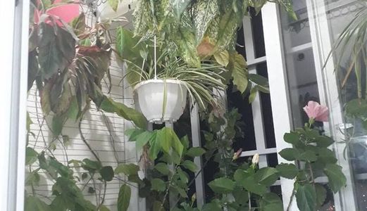 Bán Căn Hộ Chung Cư Tecco Green View 3 Phường Lê Lợi, Tp Vinh