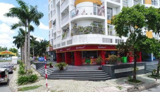 Ần Bán Gấp Đất Nền Chính Chủ Đường Cao Lỗ, Quận 8, Tphcm Dt 478M2, 1.9 Triệu/m2