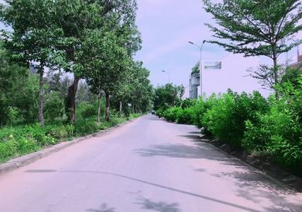 Ần Bán Gấp Đất Nền Chính Chủ Đường Cao Lỗ, Quận 8, Tphcm Dt 478M2, 1.9 Triệu/m2