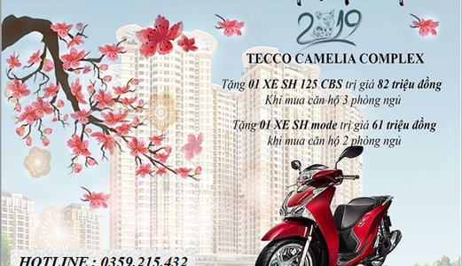 Tecco Tiếp Bước Đội Tuyển Việt Nam Chiến Thắng