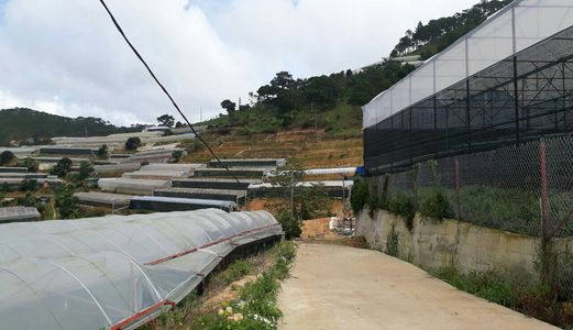 Bán Đất Vườn Thôn Đa Quý, Xã Xuân Thọ, Đà Lạt 6403M V3536