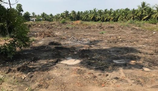 Đất Quận 2 Chỉ 40 Triệu/m2, Mặt tiền Nguyễn Duy Trinh, sổ hồng riêng, Lợi Nhuận Trên 20% Sau Tết