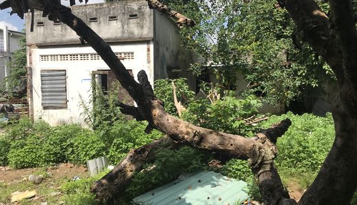 Đất 184M² Thổ Cư Nguyễn Văn Tăng Q9 Giá Thương Lượng