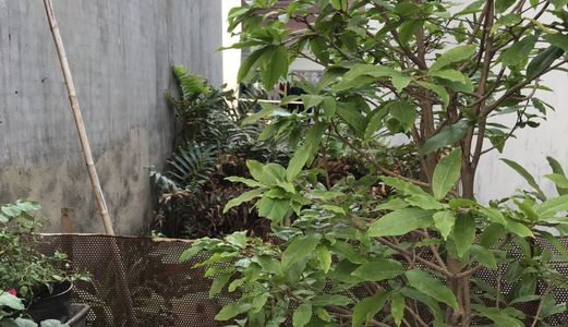 Bán Đất Hẻm 88 Nguyễn Văn Quỳ, Diện Tích 3X15M, Bớt Lộc!