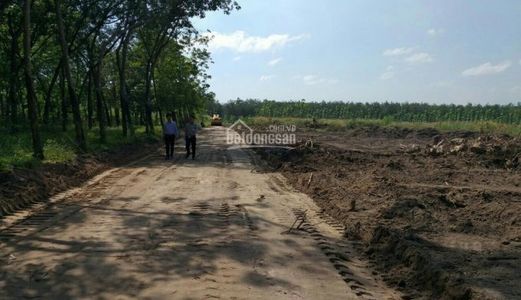 Siêu Dự Án Đất Nền Bàu Bàng, Cơ Hội Đầu Tư Làm Giàu Cho Quý Khách