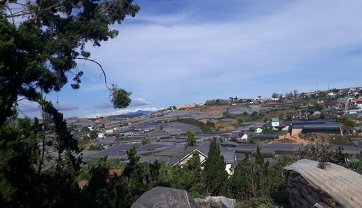 Bán Đất Đường Trịnh Hoài Đức, Phường 11, Đà Lạt 1000M Đ3302