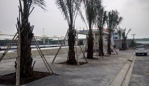 Cần Bán Gấp Lô Đất Dự Án Phước Thái, Ngay Trạm Thu Phí Xã Tam Phước. Giá Tốt Nhất Thị Trường