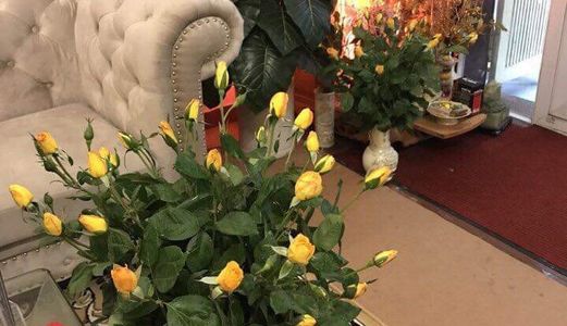 Nguyễn Thị Định Hiếm, Vip, Ô Tô Đỗ Cửa, Giá Ngon, Ngõ Thông Kinh Doanh 12,3 Tỷ.