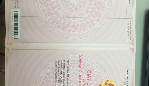 Bán Gấp Nhà 1 Sẹc Đường Trường Chinh, Quận 12