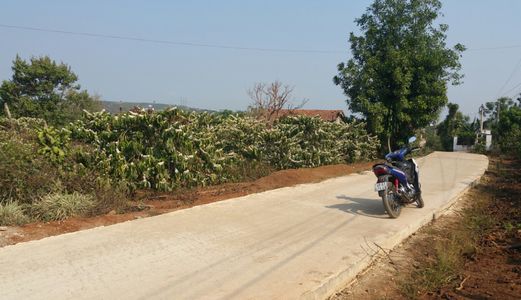 Bán Lô Đất Đường Tân Lạc Đinh Lạc Di Linh (Dt 2515M)200M2  Đất Ở