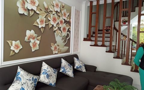 Bán Nhà Khu Phân Lô Đẹp Như Hoa Hậu Chỉ Việc Sách Vali Về Ở