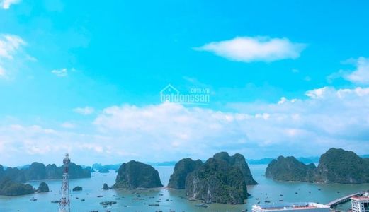 Chung Cư Lindeco Hạ Long Tuần Lễ Vàng Chiết Khấu Tới 50 Triệu