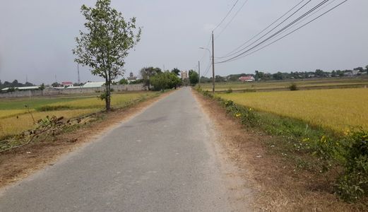 Bán Đất Trồng Cây Lâu Năm Mặt Tiền 669 Xã Phước Thạnh Củ Chi, Diện Tích 3900M2 Giá 4 Tỷ
