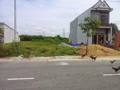 Cần Bán Gấp Đất Cạnh Kcn Becamex, Mặt Tiền Ql, 120M2, Shr, Tc