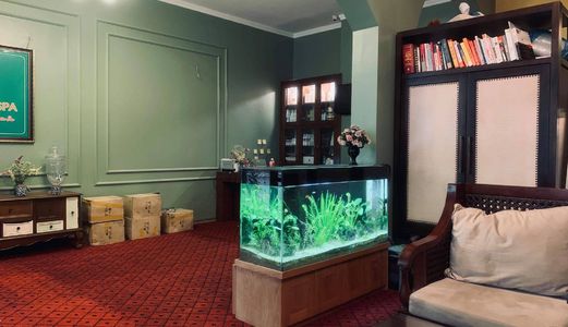 Cần Nhà Kinh Doanh Hãy Đến Với Nhà Mặt Tiền 8M X 55M2 Ở  Phường Mai Dịch Cầu Giấy Hà Nội